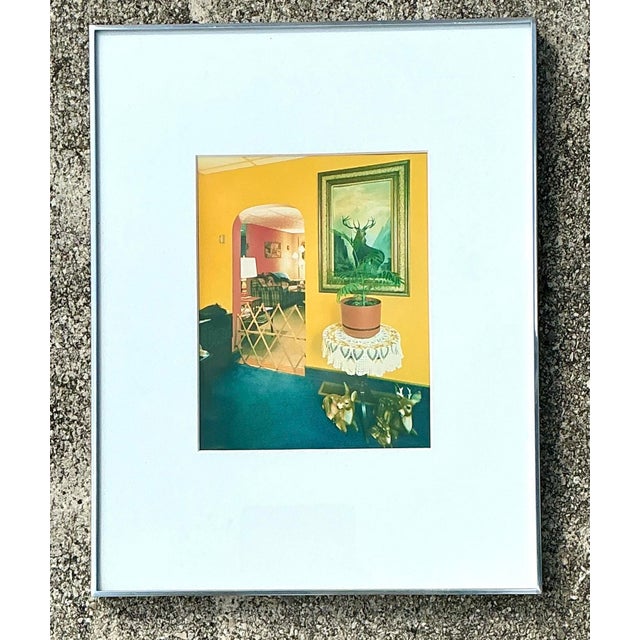 Metal Vintage 1982 Vintage Original Stephen Myers C-Print “Monarch of the Hills” For Sale - Image 7 of 12