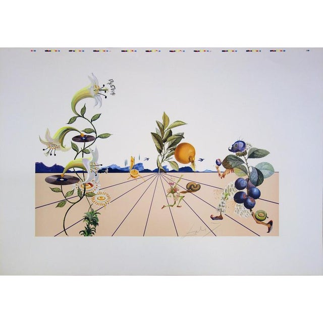 Salvador Dali, Flordali I, 1981, Lithograph For Sale - Image 8 of 8