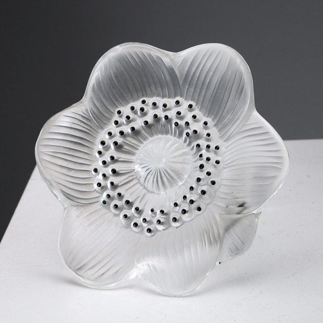 Glass Anemone from Lalique For Sale - Image 3 of 8