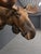 1990s Yukon Moose Shoulder Mount With Large Palmate Antlers For Sale - Image 5 of 12