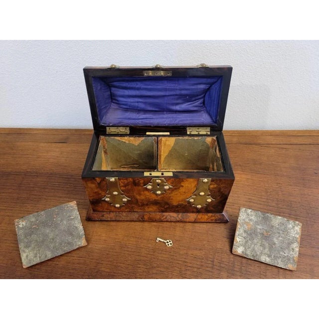 Wood 19th Century English Wedgwood Retailed Burl Walnut Tea Caddy For Sale - Image 7 of 11