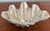 Shell Vintage Silvered Clam Shell For Sale - Image 7 of 11