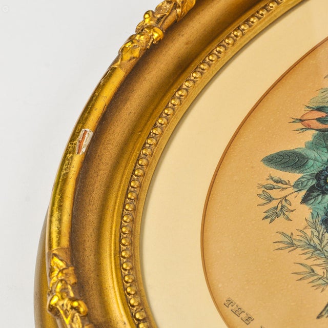 Vintage Floral Print in Gold Oval Frame "The Bouquet" For Sale - Image 11 of 11