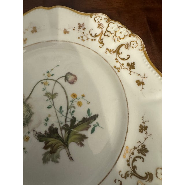 Listing is for an early 19th century cabinet plate with exquisite hand painted flower in full bloom on white ground. The...