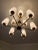 Metal Brass Chandelier With Glass Shades For Sale - Image 7 of 8