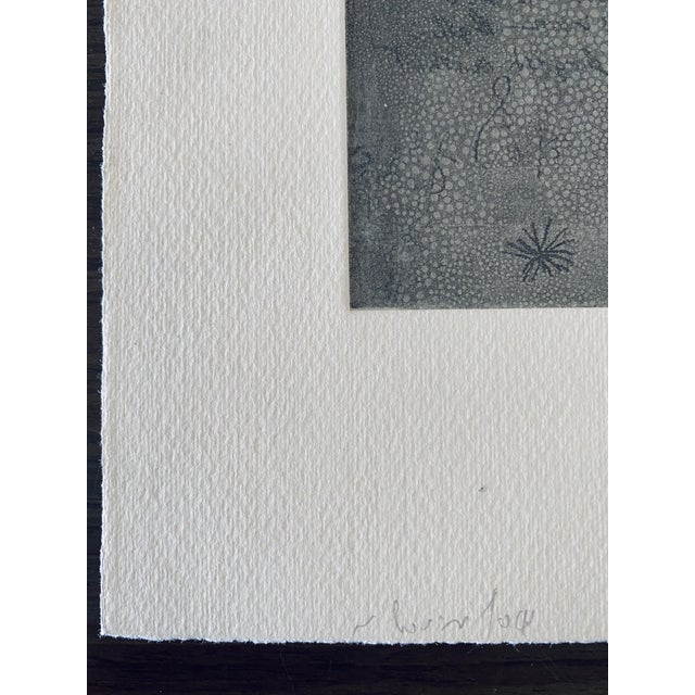 Asaf Ben Tzvi, Israeli Abstract Modernist Color Etching - Mineral Collection For Sale In Miami - Image 6 of 9