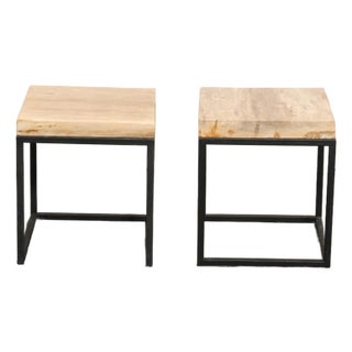 Petrified Wood Top & Iron End Tables - A Pair For Sale