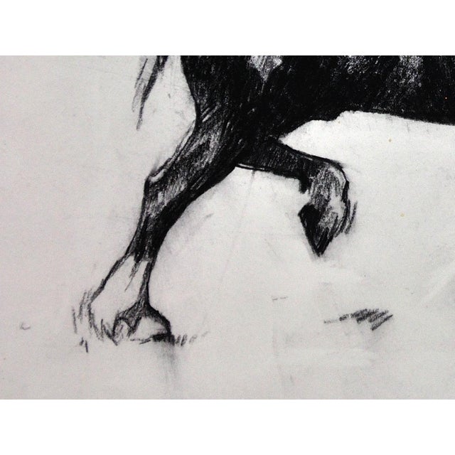 Elin Sian Blake, Black Welsh Cob, Charcoal on Paper For Sale - Image 9 of 18