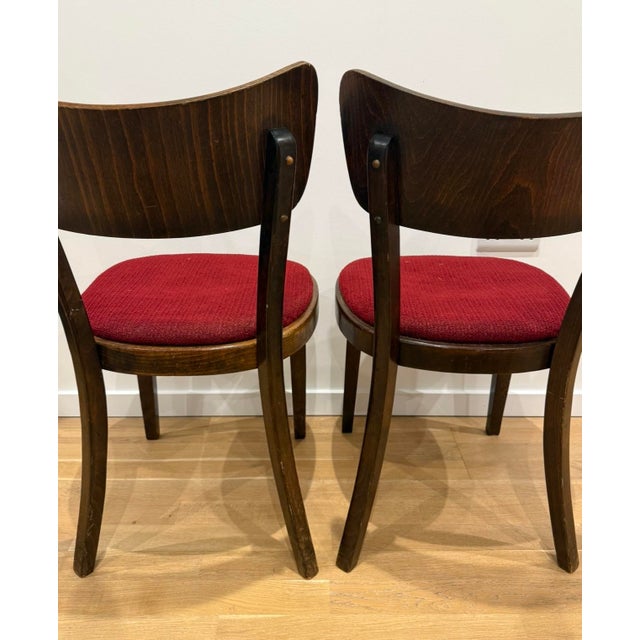 Wood Mid-Century Dining Chairs from Tatra, 1980s, Set of 4 For Sale - Image 7 of 8