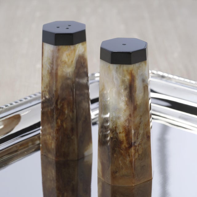 This stunning set of salt and pepper shakers blends natural aesthetics with modern design. The resin material mimics the...
