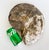 Very Large Prehistoric Ancient Ammonite Fossil Specimen Offered for sale is an ammonite fossil, a type of extinct, shelled...