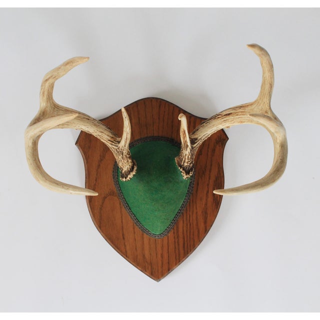 Vintage eight point whitetail deer antler plaque. Features a set of antlers attached to a wooden shield-shaped plaque with...