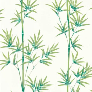 Harlequin Isabella Wallpaper in Porcelain/Bamboo For Sale