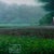 Early 21st Century Barn in the Rain by Michael Miller | Oil on panel of a barn in a rainy landscape For Sale - Image 5 of 5