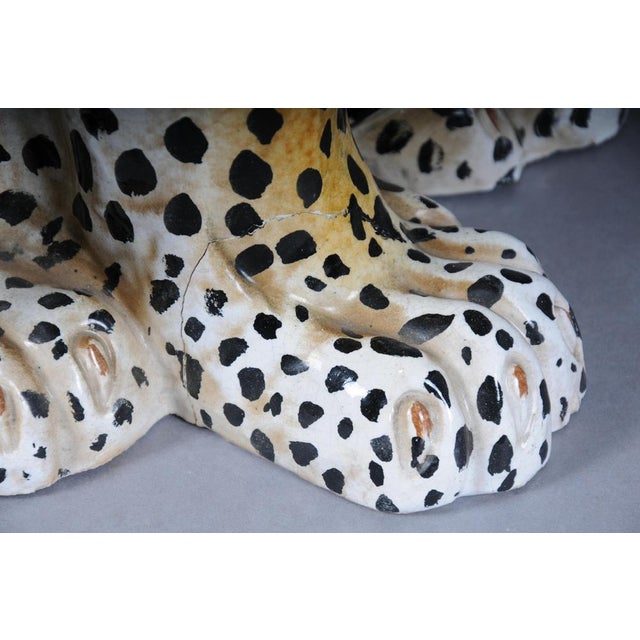 Leopard with Broken Foot For Sale - Image 17 of 18