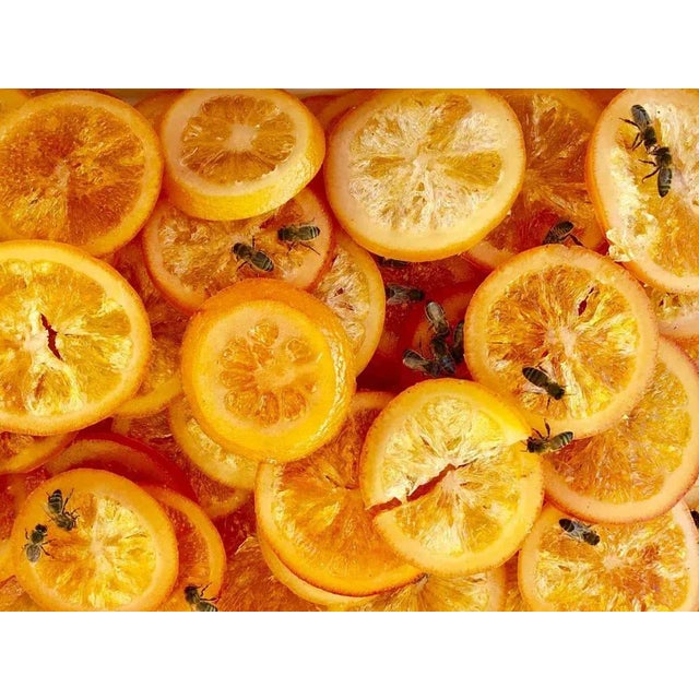 Candied Fruit as Sweet as Honey to a Bee is a lovely photograph on pearl photographic paper realized by the artist Cindi...