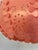 Large Danish Modern Coral Acrylic Modular Hanging Light, Ukraine, 1970s For Sale - Image 9 of 18