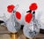 Modern Vintage Rooster and Hen Lamps in Glass, 1980s, Set of 2 For Sale - Image 3 of 10