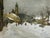 Realism Luigi Kasimir Grinzing, Snow Scene, Austria, Large Color Etching 1940 Original Print For Sale - Image 3 of 8
