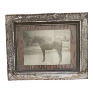 Vintage Photograph of a Horse in Town, Framed