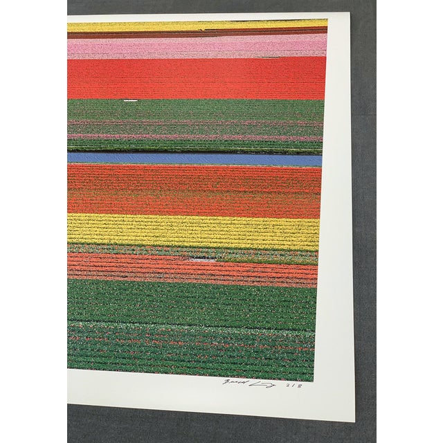 AV_Tulip_Fields_036" Contemporary Aerial View Limited Edition Photograph by Bernhard Lang For Sale - Image 9 of 12