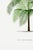 Tropical Palm Study, Vintage Botanical Art Print Reproduction, 32" X 48" For Sale - Image 9 of 10