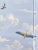 Hand Painted Panoramic Scenic Mural Panels | Set of 4 Panels 3ft×8ft Custom Wallpaper For Sale - Image 4 of 4