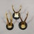 1910s Set of Six Roe Deer Trophies on Turned Plaques Germany Ca. 1910s For Sale - Image 5 of 8