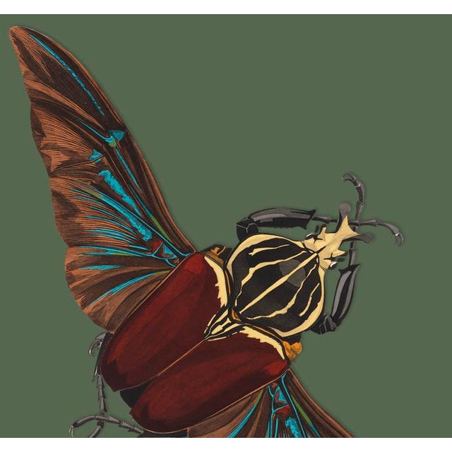 The series was produced by CFA editions from original pochior prints by E.A. Seguy. The series of insects that Seguy...