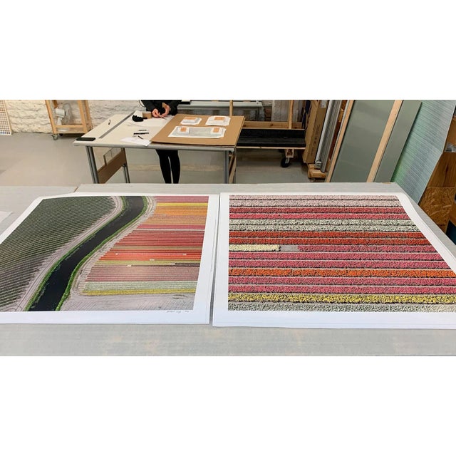 Photography "AV_Tulip_Fields_027" Contemporary Limited Edition Photography Fine Art Print by Bernhard Lang For Sale - Image 7 of 10