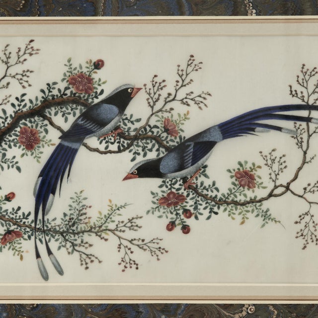 Pair of Antique Chinese Pith Paintings of Birds For Sale - Image 16 of 18