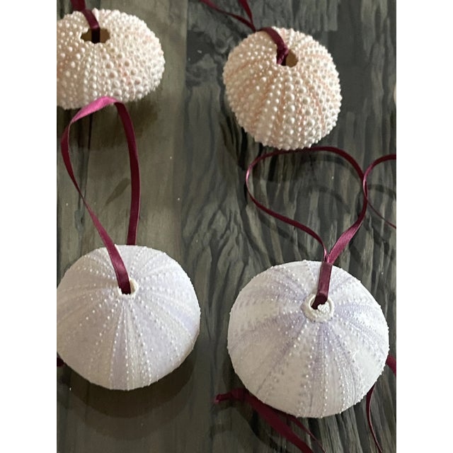 Coastal Vintage Boho Coastal Ornaments Sea Shells -14 For Sale - Image 3 of 5