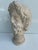 Vintage Greco Roman Style Plaster Bust For Sale - Image 9 of 11