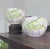 Two beautiful spring time cachepots. Fill these floral wonders with some springy floral wonders inside your home or in...