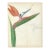 Grace Spongberg Bird of Paradise Maui Hawaii For Sale