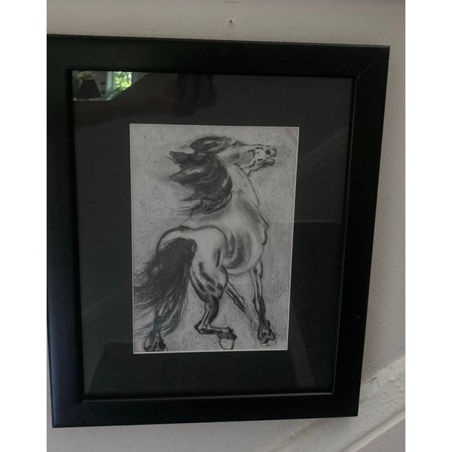 2020s Authentic Signed Charcoal Drawing of a Horse Matted and Framed For Sale - Image 5 of 5