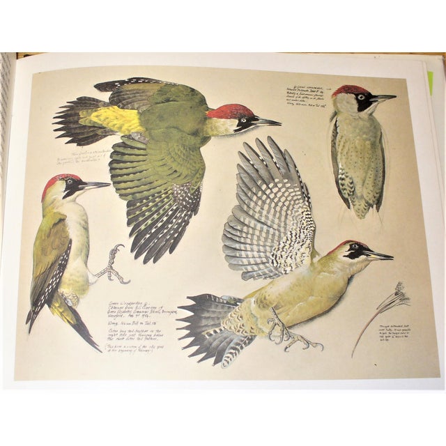 1984 Tunnicliffe's Birds "Measured Drawings by c.f. Tunnicliff Ra, 1st