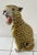 Italian Glazed Terracotta Leopard Figure, 1960s For Sale - Image 13 of 13
