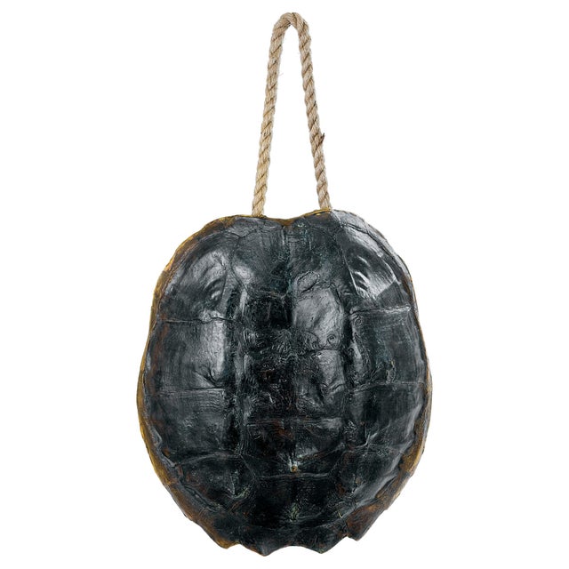 Not Yet Made - Made To Order Regina Andrew Turtle Shell Accessory in Natural For Sale - Image 5 of 5
