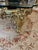 1990s 1990s Italian Silik Brand Coffee Table Italy Rococo Baroque French Made in Italy For Sale - Image 5 of 14