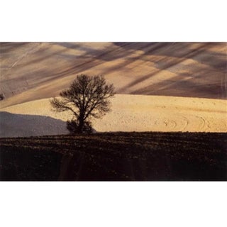 Franco Fontana, Italian Vintage Dye Transfer Photograph Franco Fontana Color Landscape Photo, 1987 For Sale