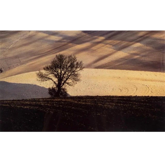 Franco Fontana, Italian Vintage Dye Transfer Photograph Franco Fontana Color Landscape Photo, 1987 For Sale