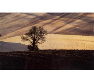 Franco Fontana, Italian Vintage Dye Transfer Photograph Franco Fontana Color Landscape Photo, 1987