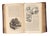 Antique Bound Volume XXII Harper's New Monthly Magazine 1860-1 Lincoln Civil War History For Sale - Image 11 of 17
