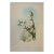 Yarrell's Wood-Star Hummingbirds: A 19th Century Hand-Colored Gould Lithograph, 1850 For Sale