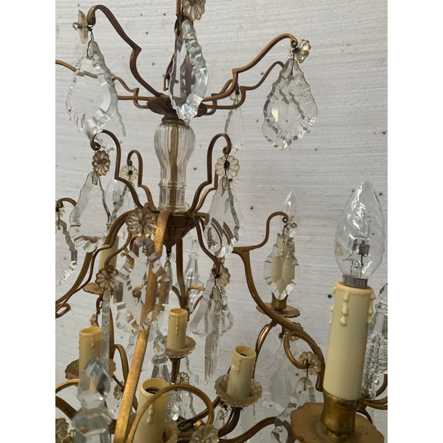 Louis XV Style Cage Chandelier in Bronze with Glass Pendants, 20th Century For Sale - Image 10 of 12