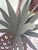 Folk Art Large Cut Metal Painted Tole Pineapples - A Pair For Sale - Image 4 of 6