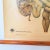 Vintage Training Poster of Intestines, 1940s For Sale - Image 3 of 6