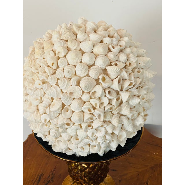Contemporary 1970s Large Ses Shell Globe on Gold Brunswick Tropical Tazza For Sale - Image 3 of 4