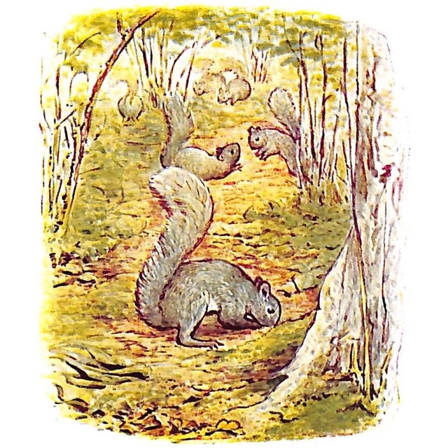 White "The Tale of Timmy Tiptoes" 1939 Potter, Beatrix For Sale - Image 8 of 9